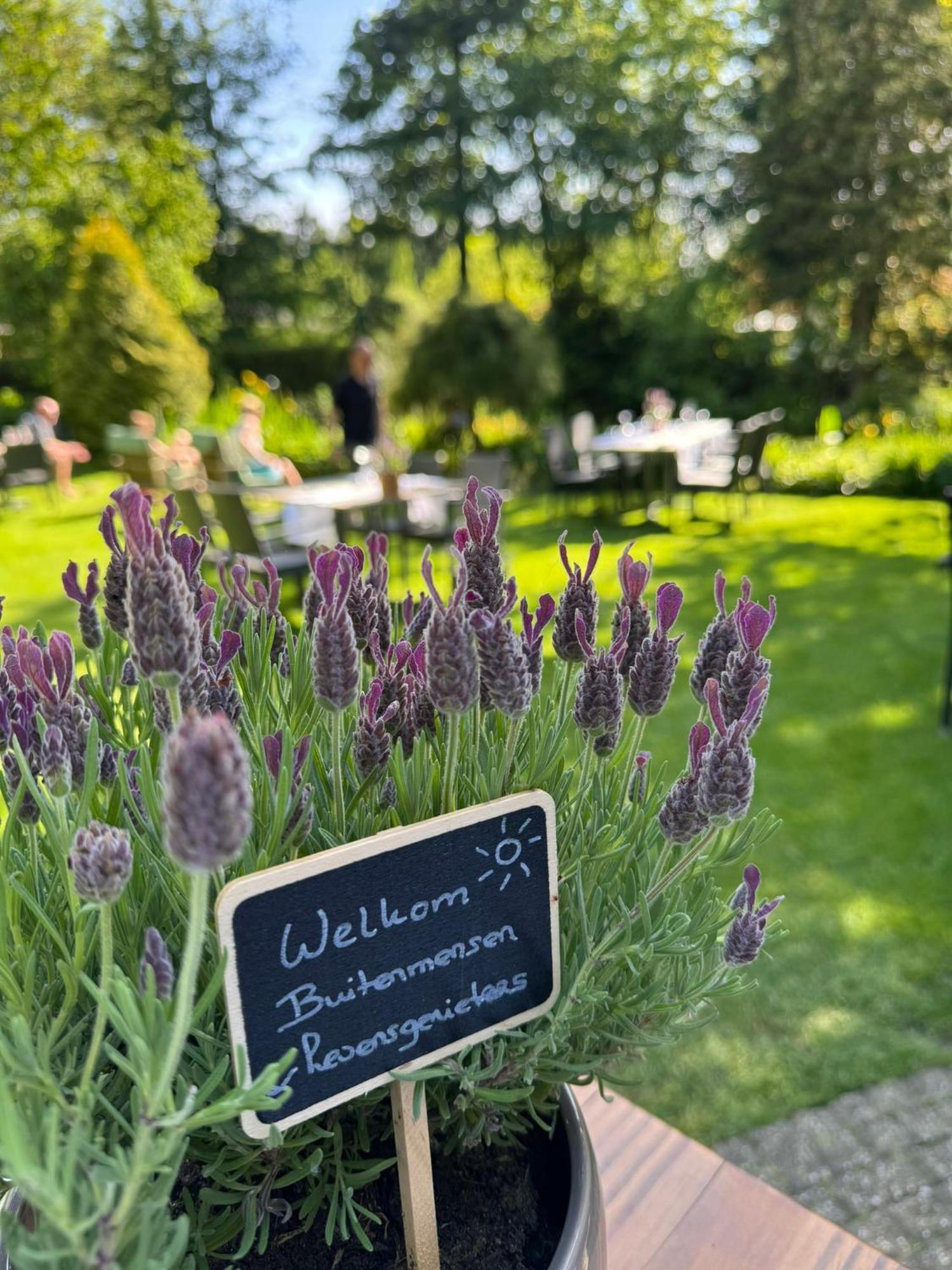 Witte Berken Natuurhotel Епе Екстериор снимка